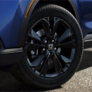 Close up of drivers rim and wheel